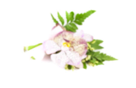 Abstract Blurred flower backgrounds