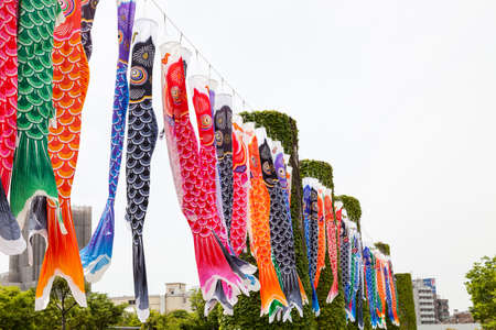 Japanese koinobori flags for Children's day on blue sky backgroundの写真素材
