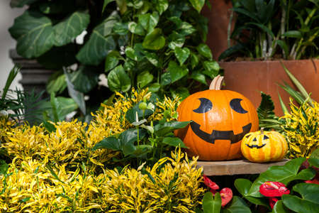 Halloween pumpkin head jack lantern.,
Halloween still life with pumpkins.の写真素材