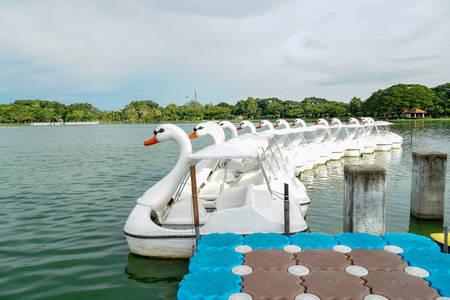 Duck fiber boat waiting for people to play,the line of duck pedal boat in the park.の写真素材