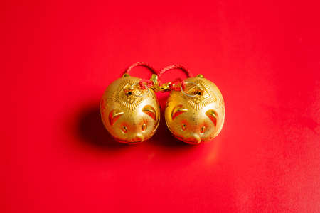 Two golden pigs on a red background ,2019 is year of the pig