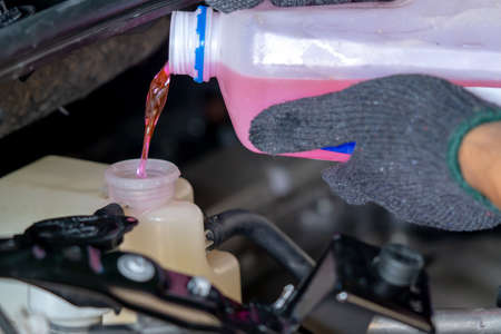 The pink radiator water is filling in the radiator