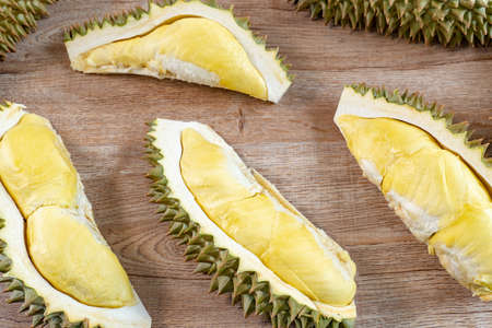 Durian is a Southeast Asian fruit thatâs most popular in Thailandの写真素材