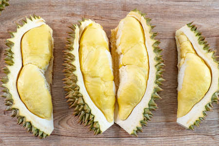 Durian is a Southeast Asian fruit thatâs most popular in Thailandの写真素材