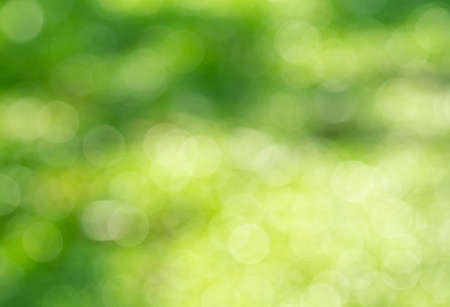 green bokeh background  , Beautiful abstract green blur on natural background. Light and plant with soft bokeh.の写真素材