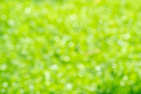 green bokeh background  , Beautiful abstract green blur on natural background. Light and plant with soft bokeh.の写真素材