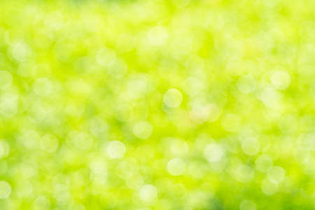 green bokeh background  , Beautiful abstract green blur on natural background. Light and plant with soft bokeh.の写真素材
