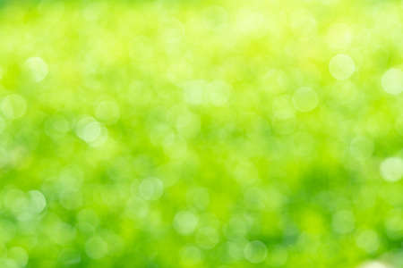 green bokeh background  , Beautiful abstract green blur on natural background. Light and plant with soft bokeh.の写真素材