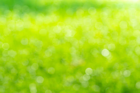 green bokeh background  , Beautiful abstract green blur on natural background. Light and plant with soft bokeh. の写真素材