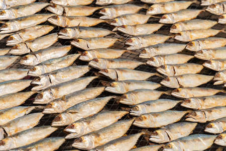 salted Mackerel, is fish cured with dry salt and thus preserved for later eating. Photographed at close range in the fish market.の写真素材