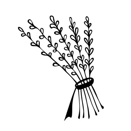Vector illustration of a hand-drawn bundle of herbs tied with a ropeのイラスト素材