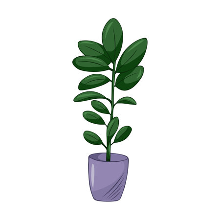 Hand drawn cute summer illustration of growing ficus in pot. Flat vector home plant Isolated on white background.のイラスト素材