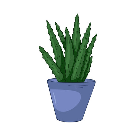Hand drawn cute summer illustration of growing aloe vera in pot.Flat vector home plant Isolated on white background.のイラスト素材