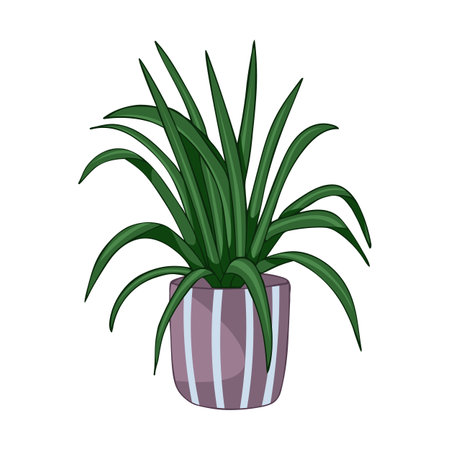 Hand drawn cute summer illustration of growing chlorophytum in pot. Vector simple colored doodle style.Home plant iconのイラスト素材