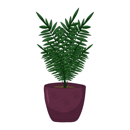 Hand drawn cute summer illustration of growing blehnum in pot.Flat vector home plant Isolated on white background.のイラスト素材