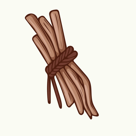Vector illustration of hand drawn bundles of twigsのイラスト素材