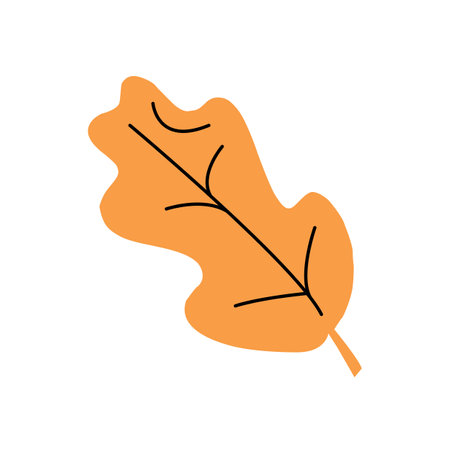 Flat Vector illustration autumn orange leaf on white backgroundのイラスト素材
