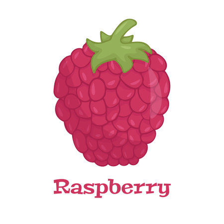 Raspberry with leaf vector icon. Raspberry icon clipart. Raspberry cartoonのイラスト素材