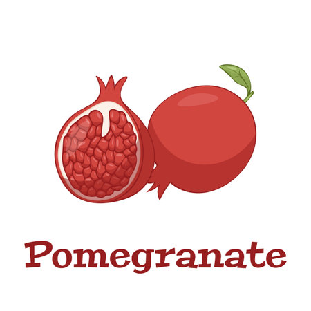 Pomegranate Hand drawn Vector illustration. Pomegranate whole fruit and half sliced.のイラスト素材