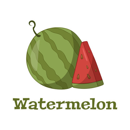 Watermelon with Slice Vector illustration. Watermelon Illustration Fruit Vector Design.のイラスト素材