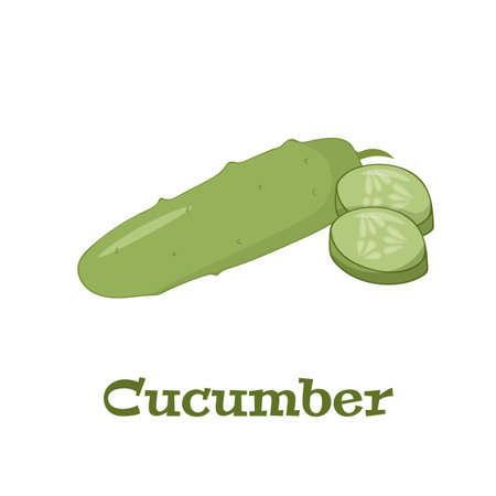 Cucumber. Cartoon vector icon isolated on white background. Series of food and drink and ingredients for cooking.のイラスト素材
