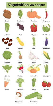 Vegetable Icons set 26 types of colorful Vegetables list with names.Can be used for supermarket categories,for learning.のイラスト素材