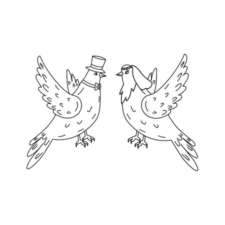 Hand drawn pair of flying doves isolated on white background. Black and white image. Two pigeons vector sketch.のイラスト素材
