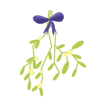 Mistletoe. Vector illustration of hanging mistletoe sprigs with with berries and violet bow isolated on whiteのイラスト素材