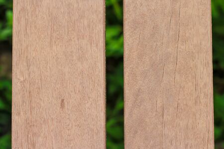 Wooden doorの写真素材