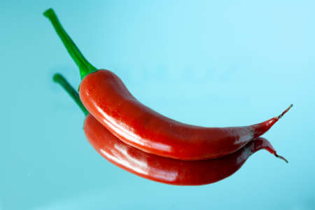 Raw and healthy foodの写真素材