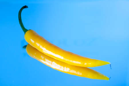 Raw and healthy food.の写真素材