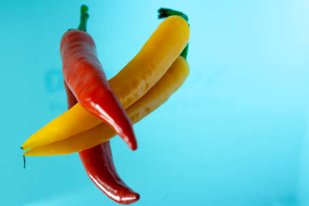 Raw and healthy food.の写真素材