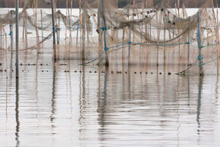 Spectacular sunset in the lake of La Albufera, Valencia.の写真素材