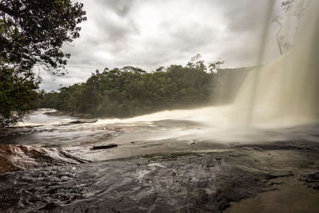 jungle with river seen from the bottom of waterfall