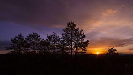 sunset rear the treesの写真素材