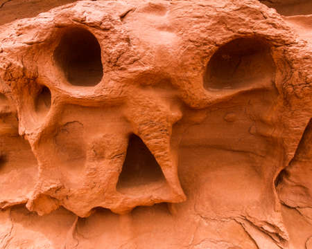 skull on sand at canyonlands national parkの写真素材