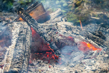 firewood burning to make barbecue