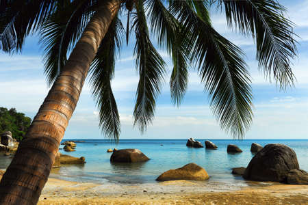 Tropical beach, Thailandの写真素材