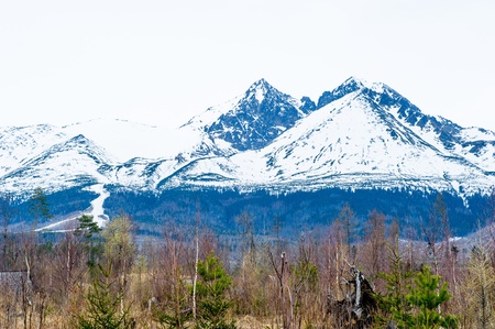 Tatra mountains in springの写真素材