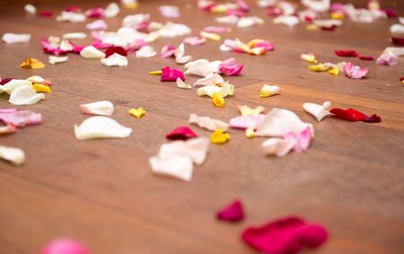 Rose petals on the floor の写真素材