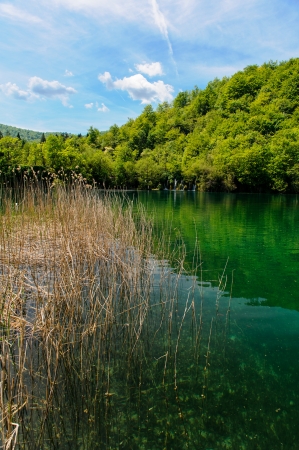 Plitvice Lakes National Park in Croatia, beautiful landscapeの写真素材
