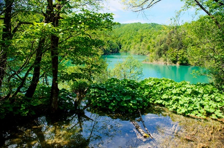 Plitvice Lakes National Park in Croatia, beautiful landscapeの写真素材