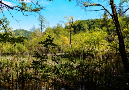 Beautiful nature   Plitvice Lakes National Park in Croatiaの写真素材