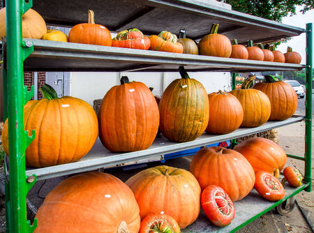 Pumpkins different shapes and sizes in the street marketの写真素材