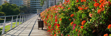 Horizontal panoramic cropped image view, Bridge of Flowers Puente de las Flores in Spanish city of Valencia. The bright coloured bridge that crosses the two sides of city, sunny day. Valencia. Spainの写真素材