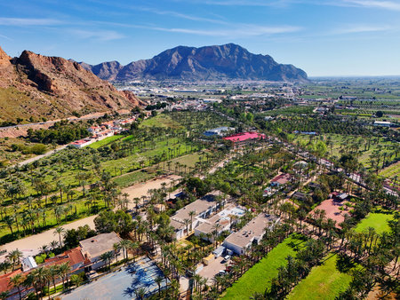 Aerial view of Palmeral de Orihuela or palm grove, lush green oasis amidst urban sprawl and mountainous backdrop under clear Spanish skyの写真素材