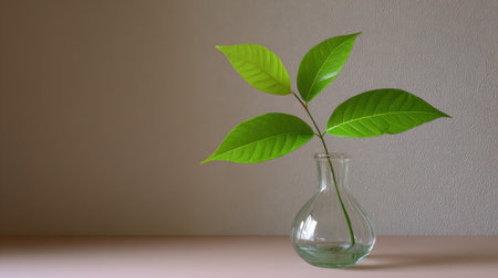 A serene composition featuring fresh green leaves arranged in a clear glass vase on a minimalist table, perfect for nature-themed decor and design.の素材