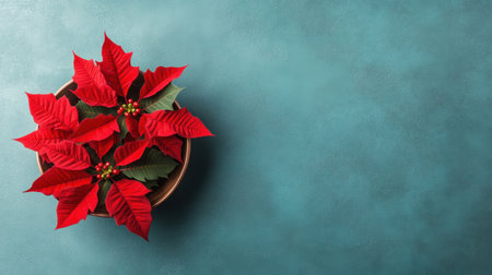A stunning close-up image featuring a vibrant poinsettia plant in a clay pot, showcasing its striking red leaves against a smooth blue background, perfect for holiday themes.の素材