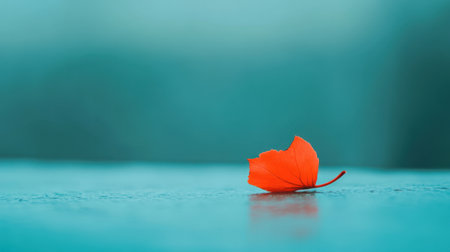 A stunning close-up of a single vibrant orange leaf resting on a smooth surface, embodying tranquility and beauty in a minimalist nature scene.の素材