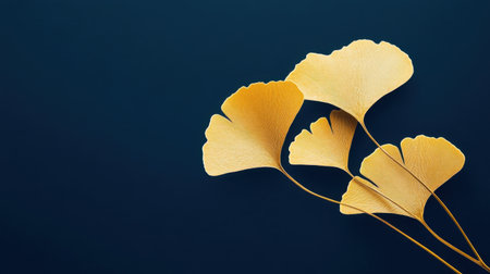 Beautifully shaped yellow ginkgo leaves arranged artistically against a dark background, showcasing natural texture and elegance, perfect for seasonal designs.の素材